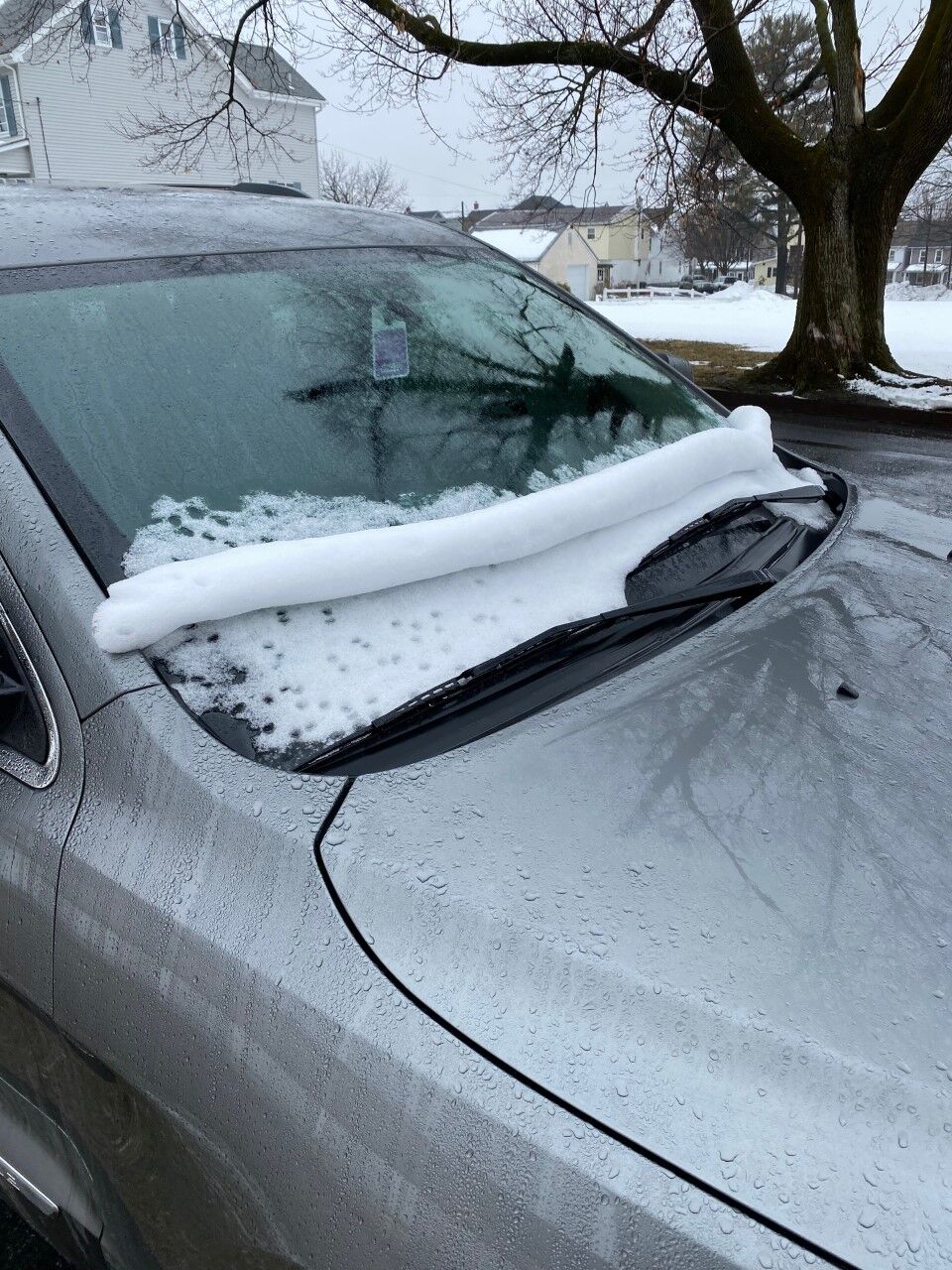 snow.jpg